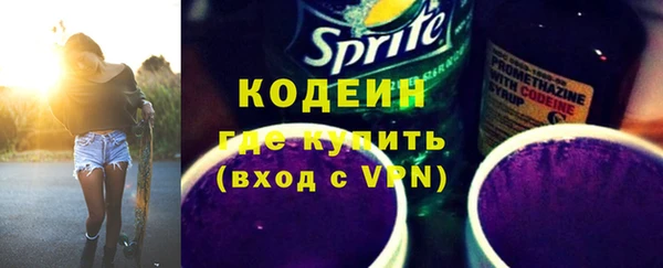 хмурый Алзамай