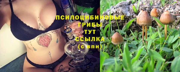 хмурый Алзамай