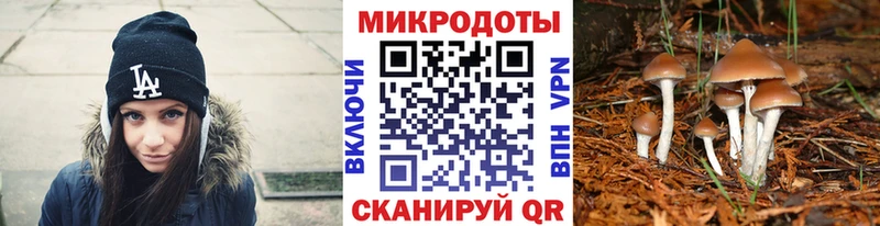Галлюциногенные грибы MAGIC MUSHROOMS  Гусь-Хрустальный 