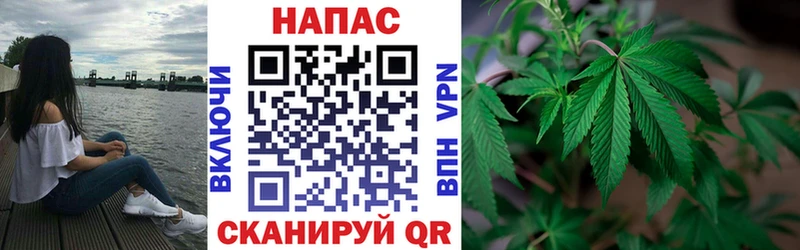 цены наркотик  Гусь-Хрустальный  Канабис ГИДРОПОН 